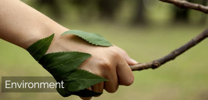 Gestión ambiental ISO 14001